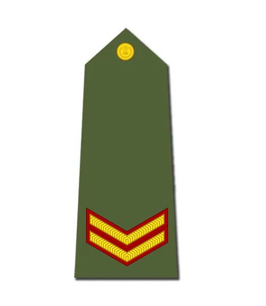 Ranks in indian army a guide to indian army ranks