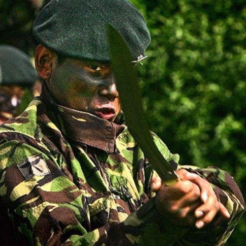 27 Regiments of Indian Army 12 10 blog